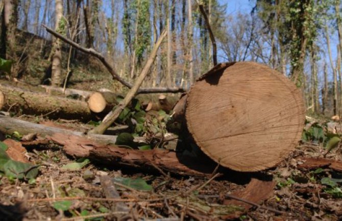 Za nelegalnu eksploataciju šume 34 naloga: Za naplatu 14.700 eura