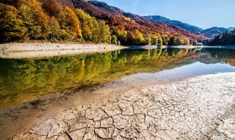 Biogradska gora kroz objektiv Predraga Vučkovića