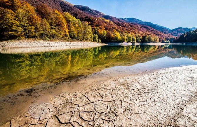 Biogradska gora kroz objektiv Predraga Vučkovića