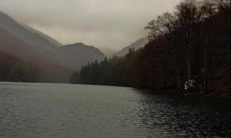 Svjetleći medvjed na Biogradskoj gori (FOTO)