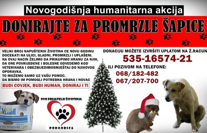 Novogodišnja humanitarna akcija 