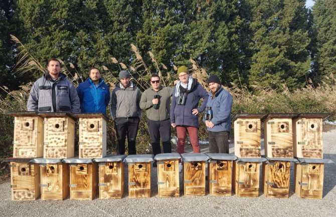 Postavili kućice za zlatovranu na Ulcinjskoj solani