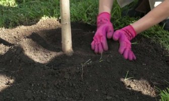 Posadi i ti: Akcije sadnje u park šumi na Zlatici i na Ćemovskom polju