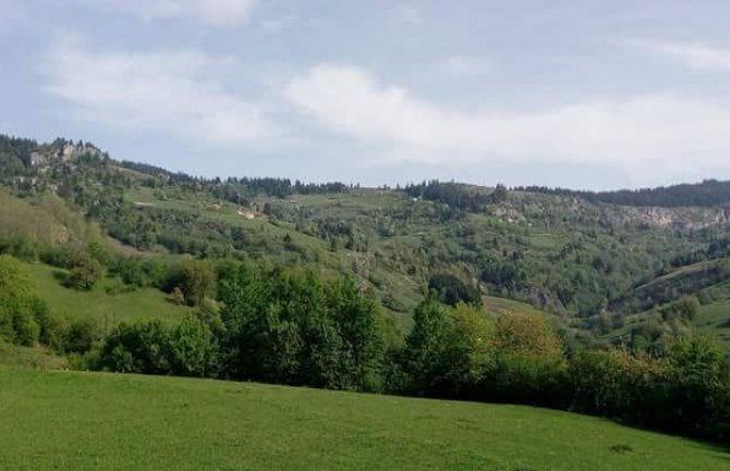 Bijelo Polje: Od udara groma stradale ovce