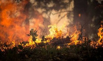 Požar na granici između BiH i Crne Gore, kuće jedva spašene