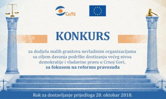 Raspisan konkurs za dodjelu malih grantova nevladinim organizacijama