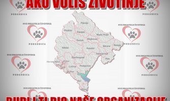 NVO Prijatelji životinja spremni da podignu infrastrukturu par stepenika više