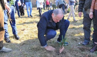 Simović sadio u BP: Očuvanje šuma je zajednička briga i odgovornost(FOTO)