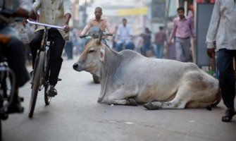 U Indiji muškarac linčovan zbog krađe krave