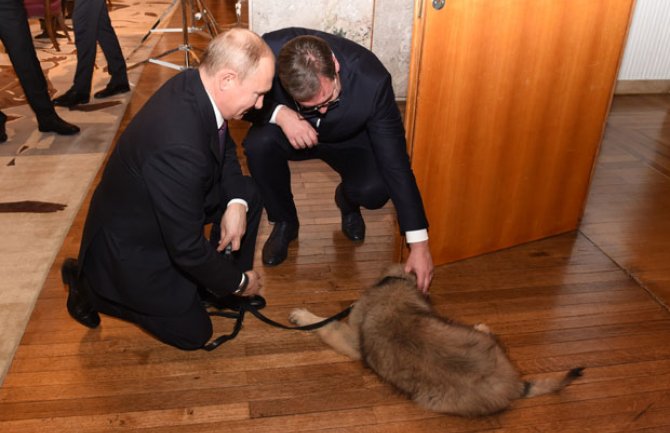 Vućić Putinu poklonio tromjesečnog Pašu (VIDEO)