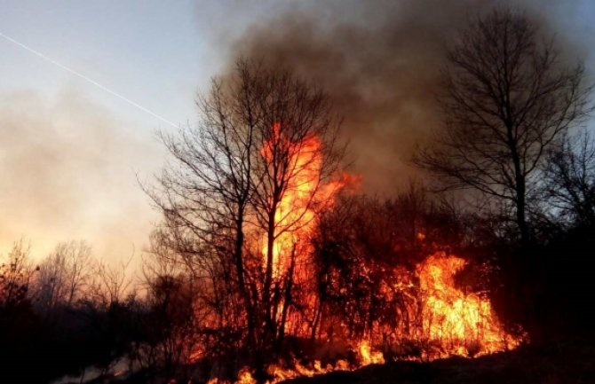 Za 7 dana 21 požar u Bijelom Polju: Odbranili kuću u Tomaševu, vatra zahvatila pomoćni objekat