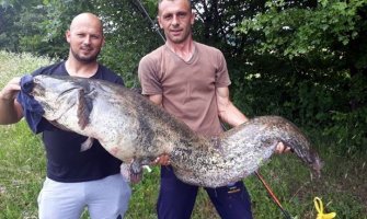 Ulovio soma kapitalca teškog  45 kilograma i dugačkog 117 centimetara