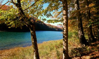 NP Biogradska gora otvorena za posjete