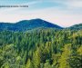 Zaplijenjena bespravno posječena šumska građa u Pljevljima i Petnjici