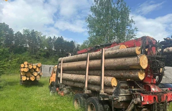 Nove zaplijene u Jelovici, uhvaćen i čuvar šuma sa kamionom