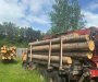 Nove zaplijene u Jelovici, uhvaćen i čuvar šuma sa kamionom