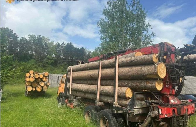 Berane: U Jelovici uhvaćen i čuvar šuma sa svojim kamionom
