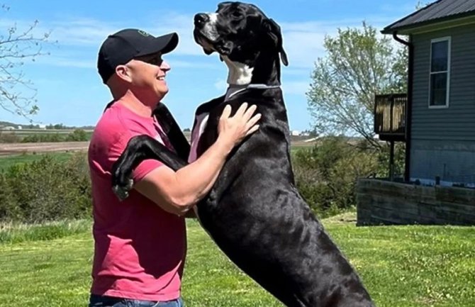 Samo tri dana nakon što je ušao u Ginisovu  knjigu rekorda, najviši pas na svijetu je uginuo