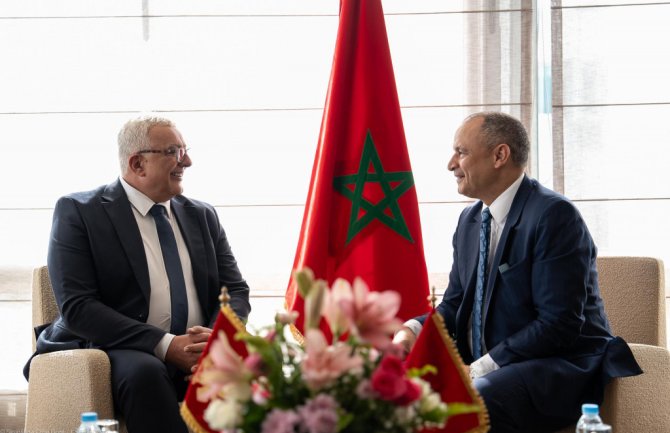 Mandić sa ministrom industrije Maroka: Jačanje odnosa je zajednički interes