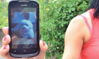 Razjareni staford izujedao Novosađanku, pa joj zadavio maltezera