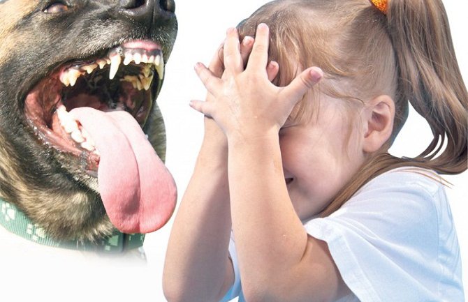 Pas izujedao djevojčicu po licu!