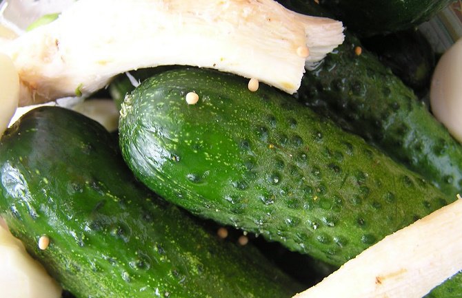 Hladna supa od krastavca za vrele dane