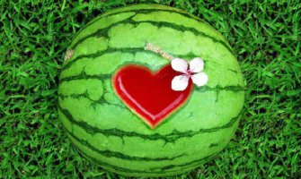 Šta to o lubenici nijeste znali