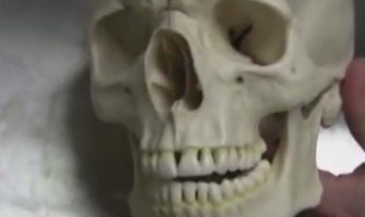 Uhapšena Belgijanka kod koje je na aerodromu pronađena ljudska lobanja