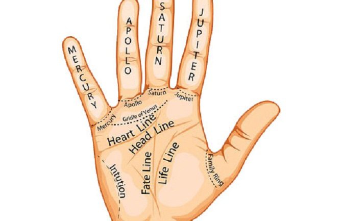 Pomoću dlana otkrijte kakva ste osoba i šta vas čeka