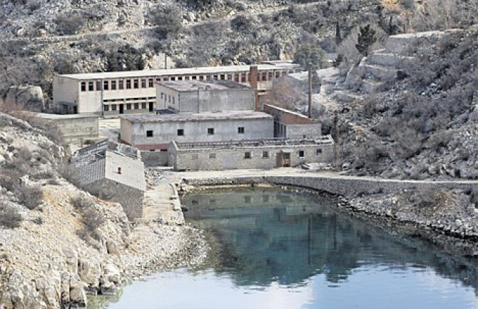 Cvetković: Goli otok da kupe Crnogorci ili Srbi