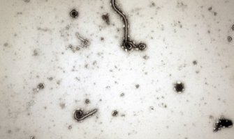 Hitan sastanak SB u četvrtak o eboli