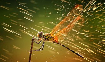 Za vikend oblačno, kiša na sjeveru