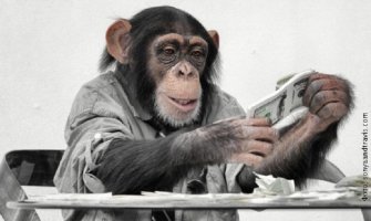 Majmun s krova bacao novčanice prolaznicima