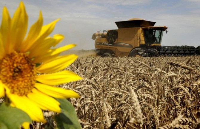 Nova poljoprivredna politika EU ide u prilog crnogorskim proizvođačima 