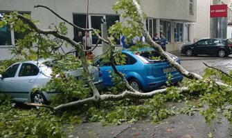 Nevrijeme u Mostaru: Vjetar čupao stabla koja su padala po automobilima 