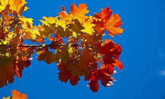 Sunčano uz povremenu oblačnost