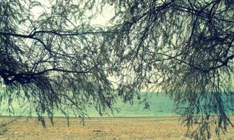 Za samo 500 eura možete da zakupite jednu od 40 plaža od Ulcinja do Novog