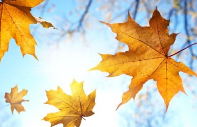 Sjutra sunčano, do 21. stepen