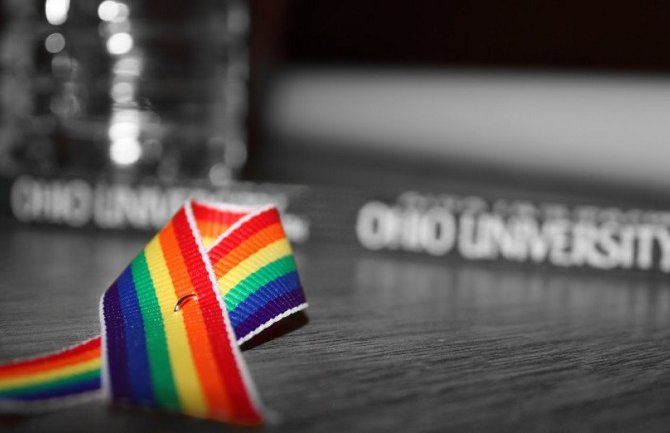Crna Gora na 21. mjestu u poštovanju ljudskih prava  LGBTIQ osoba