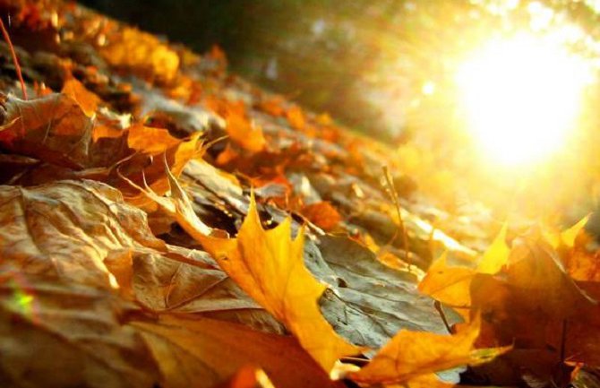 Pretežno sunčano, do 26 stepeni