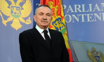 Radulović: Bojkot potreban, ali nedovoljan