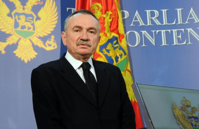 Radulović: Bojkot potreban, ali nedovoljan