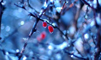 Od srijede kiša i snijeg