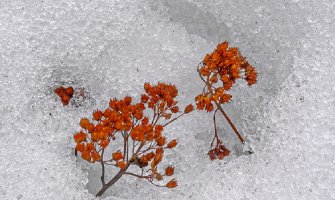 Snijeg u Kolašinu, na Žabljaku, u Pljevljima