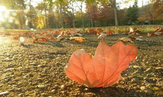 Suvo i oblačno, do 32 stepena