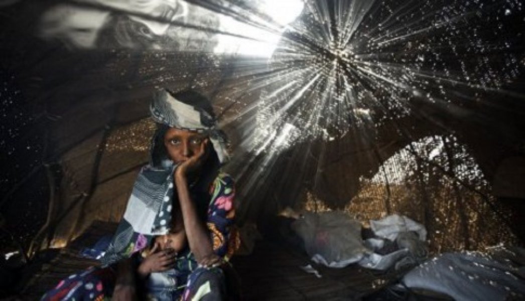 528336profimedia0116177043f