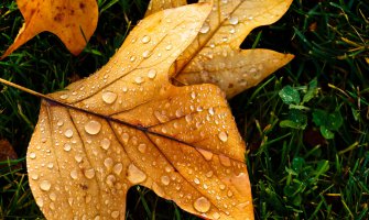 Sjutra moguća slaba kiša, do 29 stepeni