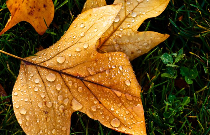 Sjutra moguća slaba kiša, do 29 stepeni