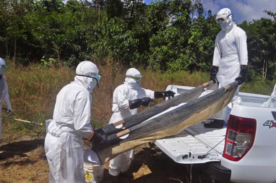 144410868545e6a57b1266371841129v4big