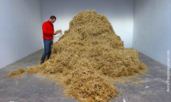 Traži iglu u plastu sijena ali stvarno!